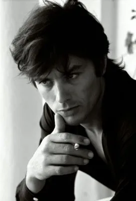 Alain Delon Prints and Posters