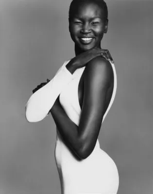 Alek Wek Prints and Posters