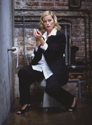 Amy Poehler Poster