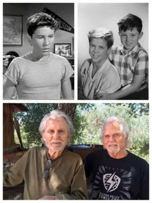 Tony Dow Prints and Posters