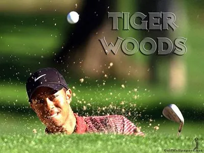 Tiger Woods Prints and Posters