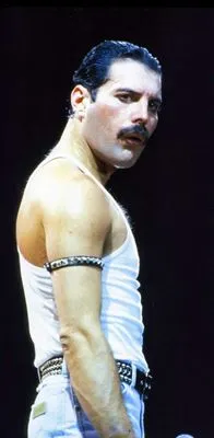 Freddie Mercury Prints and Posters