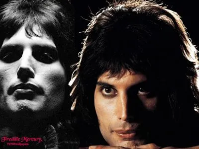 Freddie Mercury Prints and Posters