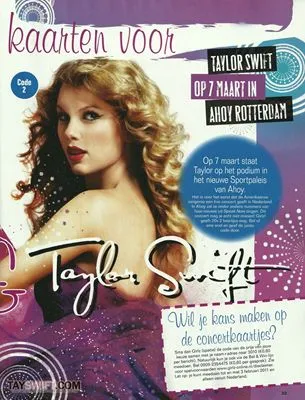 Taylor Swift 16oz Frosted Beer Stein