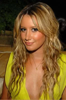 Ashley Tisdale 16oz Frosted Beer Stein