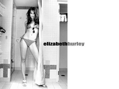 Elizabeth Hurley Poster