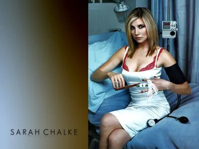 Sarah Chalke Poster