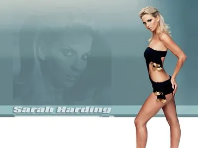 Sarah Harding Prints and Posters