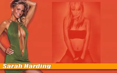 Sarah Harding Prints and Posters