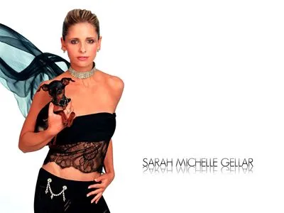 Sarah Michelle Gellar 11oz Metallic Silver Mug