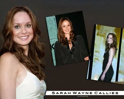 Sarah Wayne Callies Prints and Posters