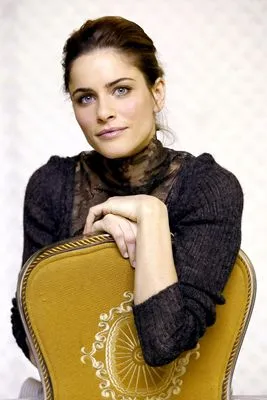 Amanda Peet Prints and Posters