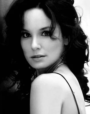 Sarah Wayne Callies Poster