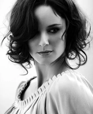 Sarah Wayne Callies Poster