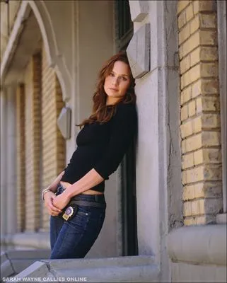 Sarah Wayne Callies Poster