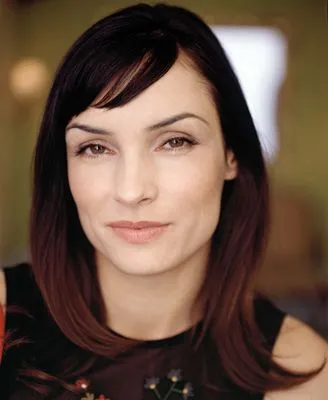 Famke Janssen Tote