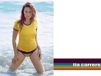 Tia Carrere Poster