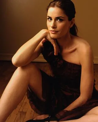 Amanda Peet Prints and Posters