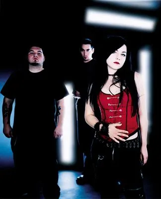 Amy Lee Prints and Posters