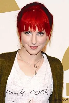 Hayley Williams Poster