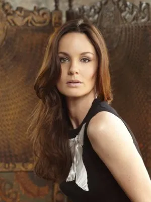 Sarah Wayne Callies Poster