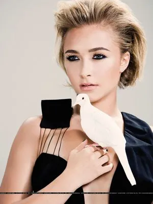 Hayden Panettiere Prints and Posters