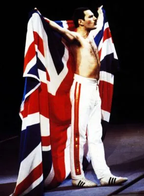 Freddie Mercury Poster