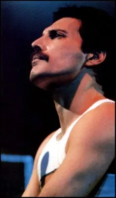 Freddie Mercury Poster