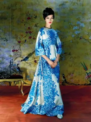 Fei Fei Sun Prints and Posters