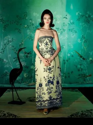 Fei Fei Sun Prints and Posters