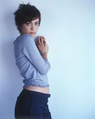 Shannyn Sossamon Prints and Posters