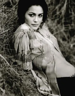 Shannyn Sossamon Poster