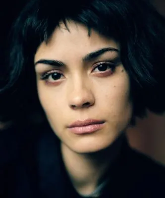 Shannyn Sossamon Prints and Posters