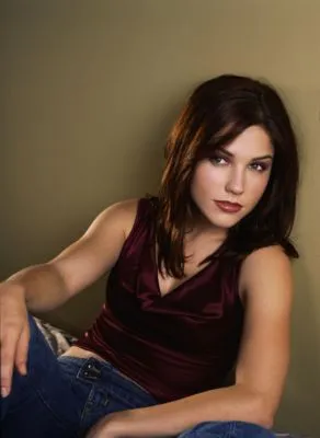 Sophia Bush Poster