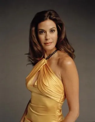 Teri Hatcher Prints and Posters