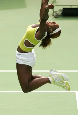 Serena Williams Poster