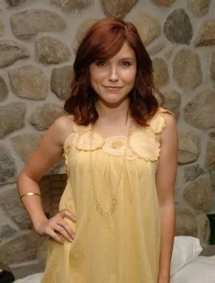 Sophia Bush Poster