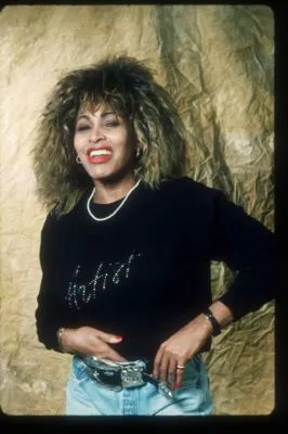 Tina Turner Prints and Posters