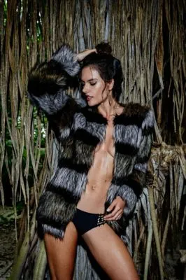 Alessandra Ambrosio 6x6