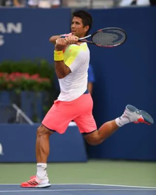 Fernando Verdasco Prints and Posters