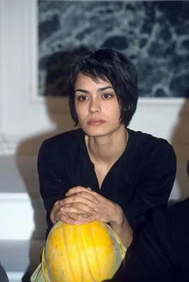 Shannyn Sossamon Prints and Posters