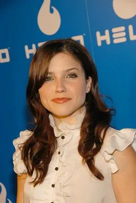 Sophia Bush Poster