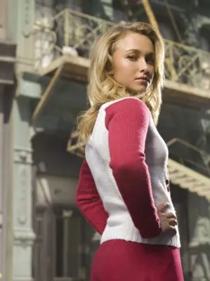 Hayden Panettiere Tote