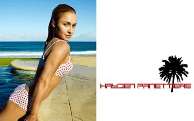 Hayden Panettiere Metal Wall Art