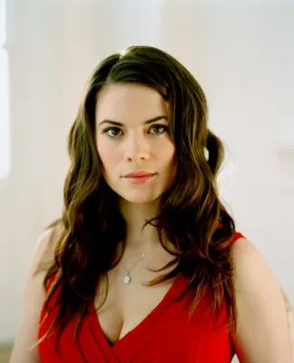 Hayley Atwell Poster