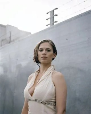 Hayley Atwell Poster