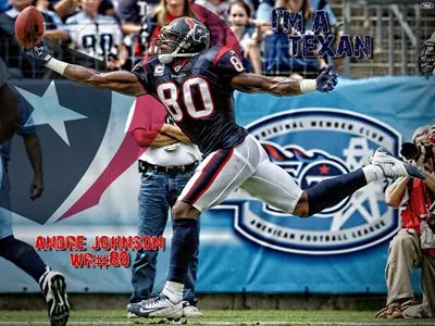 Houston Texans Prints and Posters