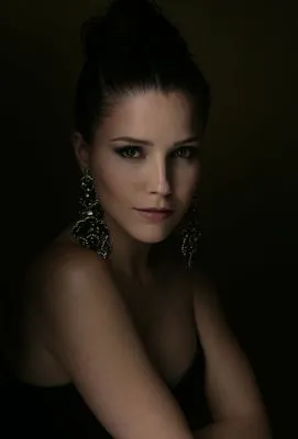 Sophia Bush Poster