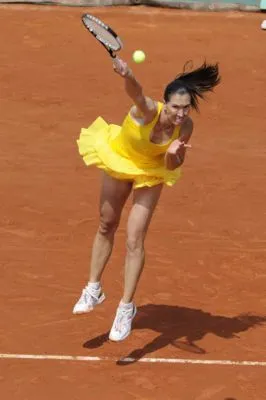 Jelena Jankovic Poster