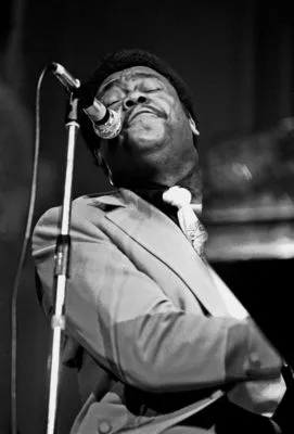 Fats Domino Poster